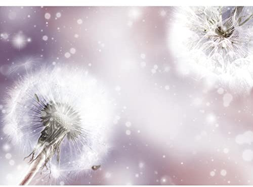 Runa Art Fototapete Blumen Pusteblume Modern Vlies Wohnzimmer Schlafzimmer - Made in Germany - 308 x 220 cm Violett 9401010b