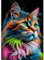 MXJSUA Chat Coloré DIY Diamond Painting Kits，Diamond Painting Complet，Diamond Art Painting，Painting Diamant Pour La Décoration Murale De La Maison 30x40cm
