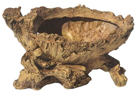 Maceta de cemento vintage de resina para decoración de interiores y exteriores, diseños de raíces de árbol para suculentas y bonsáis, jardín, escritorio, macetas de resina