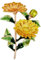 YAZILIND Fleur de Marguerite exquise conçue Pince Broche Strass Broche de Bal d'étudiants de Mariage pour Les vêtements Vintage décoration Alliage Bijoux (Jaune)