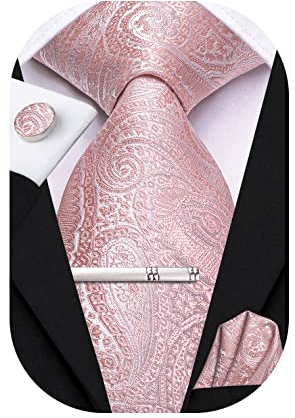 Hi-Tie Pink Tie Silk Mens Paisley Tie and Pocket Square Cufflinks Clip Pin Set Formal 4 PCS Necktie for Wedding Business