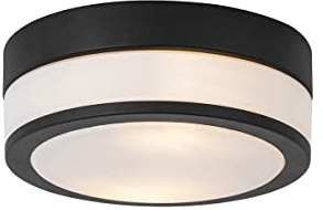 Qazqa - Moderne Bad I Badezimmer Außen Deckenleuchte I Deckenlampe I Lampe I Leuchte schwarz 2-flammig3 cm IP44 - Flavi I Außenbeleuchtung - Stahl Rund - LED geeignet E27