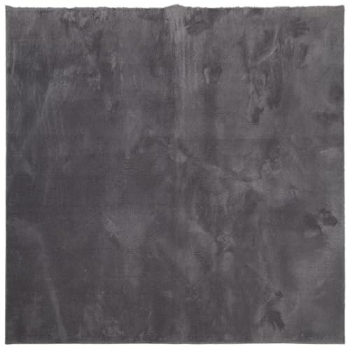 vidaXL Teppich, Wohnzimmerteppich Kurzflor Weich Waschbar, Moderner Teppich für Wohnzimmer Schlafzimmer, Flauschig Einfarbig rutschfest, Anthrazit 160x160cm