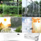 Transparente, strapazierfähige Outdoor-Rollo-Plane mit Ösen, transparente Planenvorhänge