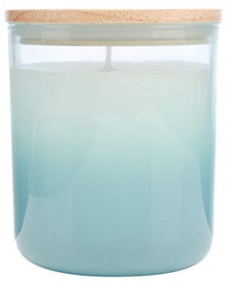 Wax Lyrical Homescenter Scented Candle & Glass Holder – Hibiscus & Rosehip