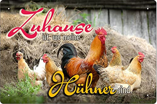 Blechschild 20x30cm Zuhause ist, wo meine Hühner sind