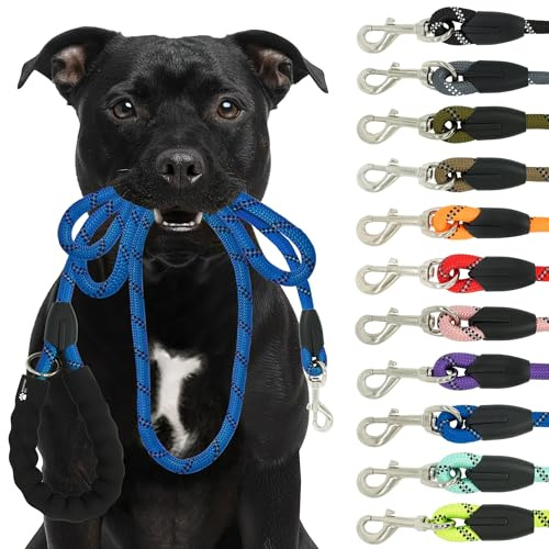 Reichstadt Pets Hundeleine 25RSP084 Blue 1,5m | Weiches Nylon mit EVA-Griff, reflektierend, drehbarer Metallhaken | robuste Führleine für kleine, mittelgroße, große Hunde