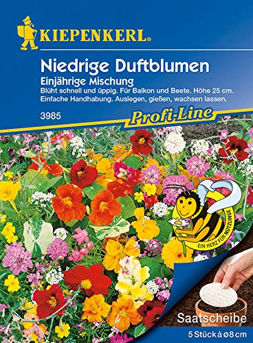 Niedrige Duftblumenmischung, Duftender Steingarten, 5 Saatscheiben à Ø 8cm