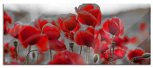 Pixxprint Glasbild Panorama, Wandbild aus Echtglas, Feuriger Mohn, 100x40 cm, inkl. Aufhängung und Abstandshalter