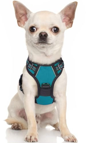 rabbitgoo Hundegeschirr Kleine Hunde, Anti Zug Geschirr mit Kontrolle, No Pull Verstellbar Hundegeschirr Grosse Hunde, Atmungsaktiv Reflexstreifen Brustgeschirr Sichere Führung Blaugrün XS