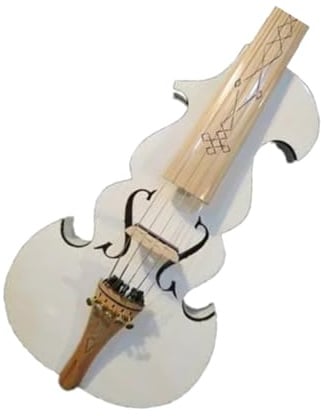 Color de luz eléctrico 4/4 5 cuerdas violín eléctrico + violín acústico