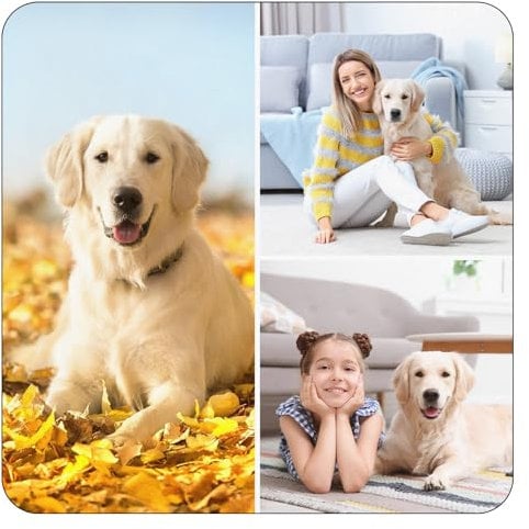 Tapis de souris personnalisé avec photo et texte, tapis de souris en caoutchouc antidérapant pour ordinateur portable, bureau, petit tapis de souris avec base en caoutchouc antidérapant