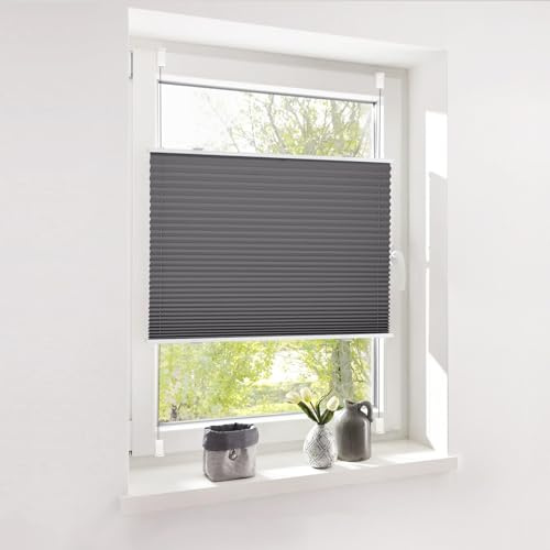 Deswell Plissee ohne Bohren Klemmfix Anthrazit B80 x H80 cm Plisseerollo Sonnenschutz und Sichtschutz Jalousien Easyfix Plissees Lichtdurchlässig Rollo für Fenster & Tür