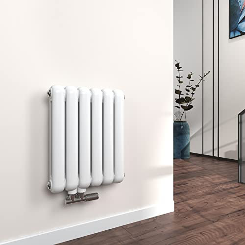 EMKE Oval Heizkörper Horizontal 550x440mm, Design Röhrenheizkörper Doppellagig Moderne Heizkörper Paneelheizkörper mit Seitenanschluss Weiß 549W