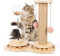Banaone Juguete Interactivo Madera para Gatos, Juguete Interactivo de Rodillo Divertido para Mascotas, Pequeño Árbol Rascador para Gatos con Poste de Sisal y Felpa Pelota Colgante y Base con Juego