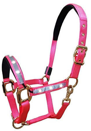 Reinecke Equestrian Premium Leuchthalfter Reflexhalfter Sicherheitshalfter Stallhalfter Weidehalfter LED-Nylonhalfter Starlight (Cob, pink/Gold)