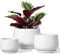 LE TAUCI Set Di 3 Vaso Per Piante In Ceramica, 10+13+16 cm Vaso per Piante da Interno Con Foro Di Drenaggio E Piattino, Vaso Da Fiori Per Interni Con Foro In Rete, Regalo Per Mamma, Bianco