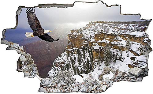 3D Wandtattoo Mauerloch Wandsticker Wandaufkleber Durchbruch selbstklebend Schlafzimmer Wohnzimmer Kinderzimmer,Adler Falke,Größe: 50x75cm