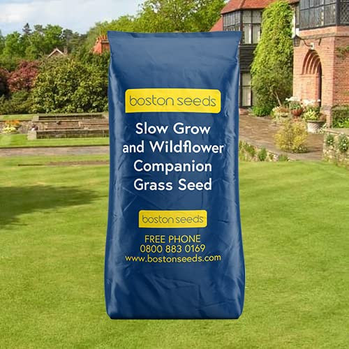 Boston Seeds Grass Seed for Slow Growing Lawns, Low Maintenance Grass Seed (1 x 2kg)