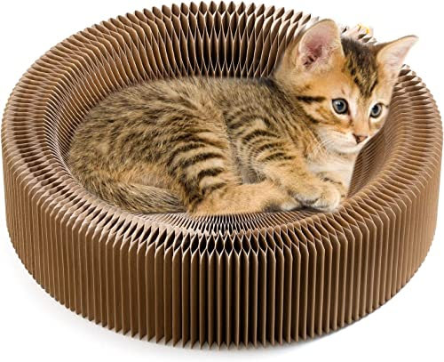 BLOSSOMLIFE Zusammenklappbares Katzenkratzbett Lounge Bett Katzenbett Karton Pet Scratcher Pad Rund Kratzbrett Nest