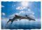 goodbath Tenda da doccia extra larga 240 x 180 cm, con delfini che saltano dall'oceano e mare, in tessuto antimuffa, impermeabile, con 24 ganci