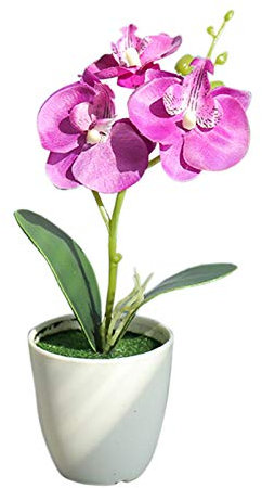 Tonsee Accessoire Blumen künstliche Kunststoff-Grünpflanzen im Freien gefälschte resistente künstliche Blumen Trocken Blumensträuße Mini (D, One Size)