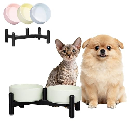 Gamelle Chien Surélevée Céramique - Gamelles Double avec Support INOX pour Chats et Petits Chiens - Bol Anti Éclaboussure Adorable pour Eau et Croquettes - 140g / 260ml - Haut 10cm - Vert