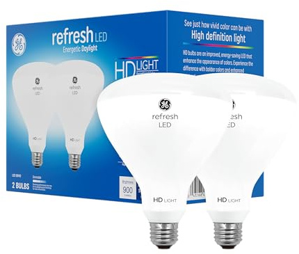 GE Refresh LED Light Bulbs, 65 Watt, Daylight, BR40 Indoor Floodlights (2 Pack)