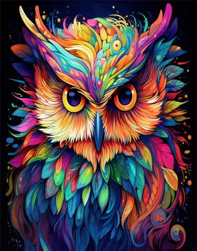 AMBATTERY Knüpfteppich Bunte Eule Latch Hook Teppich Kits für Erwachsene Kinder Bedruckte Leinwand Häkeln Handarbeit Handwerk Teppich Kissen Matte Wandteppich 20x15in