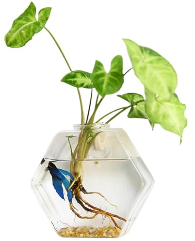 Propagation des Plantes | Jardinière Murale hydroponique hexagonale pour la Propagation des Plantes, Terrarium Mural Transparent, Station en Verre à Faire soi-même pour la Maison et Le Bureau, Grand