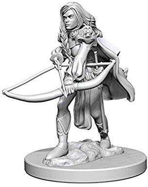 WizKids Pathfinder: Deep Cuts Unpainted Miniatures: Human Female Fighter