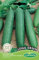 Germisem Gurke LONG GREEN, mehrfarbig, EC4022