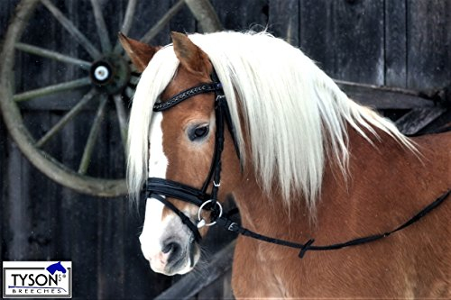 Black only Trense Reithalfter Schwarz Strass Lack Ledertrense Schwedisch WEICH Tysons VB WB X Full (VB)