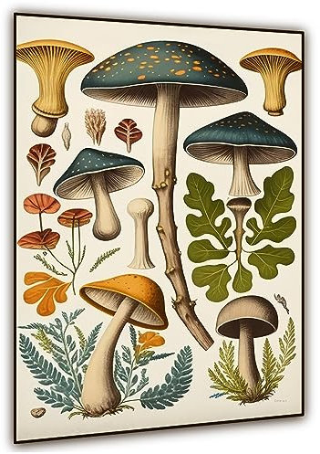 Vintage-Pilz-Wandkunst, Retro-Poster, Cottagecor Raumdekoration, Leinwand, botanische Wanddekoration, 30,5 x 45,7 cm