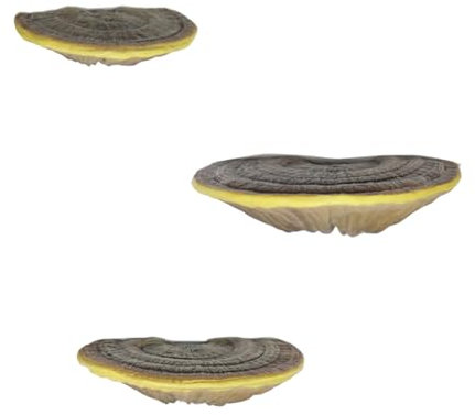 Qsvbeeqj Pilz-Organizer, Pilz-Wandregal, schwebendes Regal für Schmuck, Schmuck, Zuhause und Büro, künstlerische Harzdekorationen