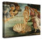 PICANOVA – Sandro Botticelli – The Birth of Venus 40x30cm – Bild auf Leinwand – Premium Kunstdruck Auf 2cm Holz-Keilrahmen Für Schlaf- Und Wohnzimmer – Klassische Kunst