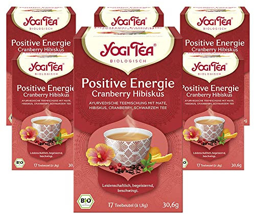 Yogi Tea - Cranberry Hibiskus, Ayurvedischer Bio Gewürz- und Kräutertee, Positive Energie, Mischung aus Mate, Hibiskus, Cranberry, Schwarztee, Yogi Tee 6er Pack, 6x17 Beutel (102 Teebeutel insgesamt)