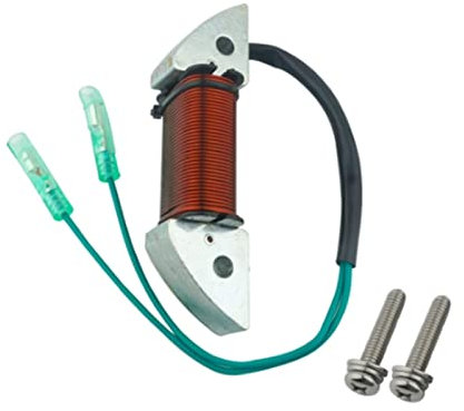 IKOCHI 3B2-06123 Lichtmaschine Fit for Tohatsu Außenborder Motor 8HP 9,8HP. PARSUN HIDEA. HDX 3B2-06123-1 3B2061231 M8 / 9,8B 2- Schlaganfall