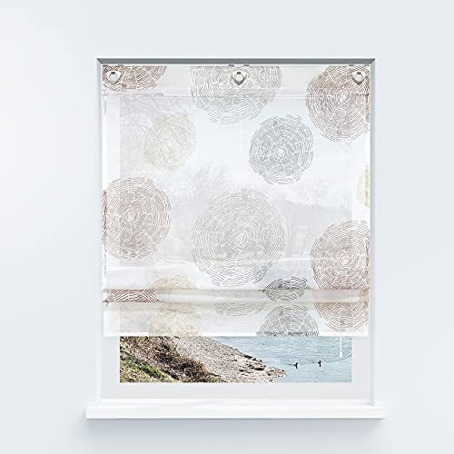 Yujiao Mao Voile Raffrollo ohne Bohren mit Kreise Druck Design Ösenrollo Raffrollos mit Hakenaufhängung Transparenter Vorhang Kaffee BxH 80x140cm 1 Stück