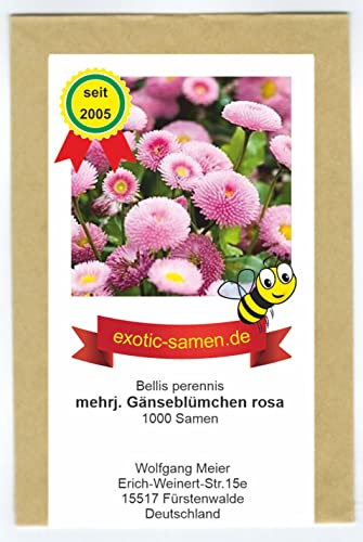Ausdauerndes Gänseblümchen – Bellis perennis – rosa gefüllt – 1000 Samen