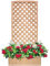 FRANKYSTAR Patio - Fioriera Separe' In Legno Tropicale