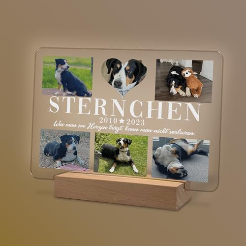 Nachtlicht andenken an verstorbenen Hund oder Katze Gedenktafel mit Fotobild Gedenktafel aus Acryl zur Erinnerung & Trauer personalisiert mit Foto Geschenk für Hundebesitzer Katzenbesitzer