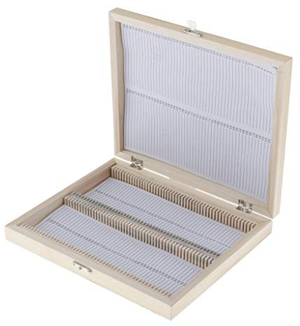 Hellery Objektträgerkasten Präparatekasten Holzkiste Sortiermentbox für 25x75mm Objektträger