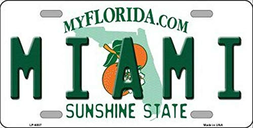 SIGNCHAT Miami Florida State Background Novelty Nummernschild 15x30cm