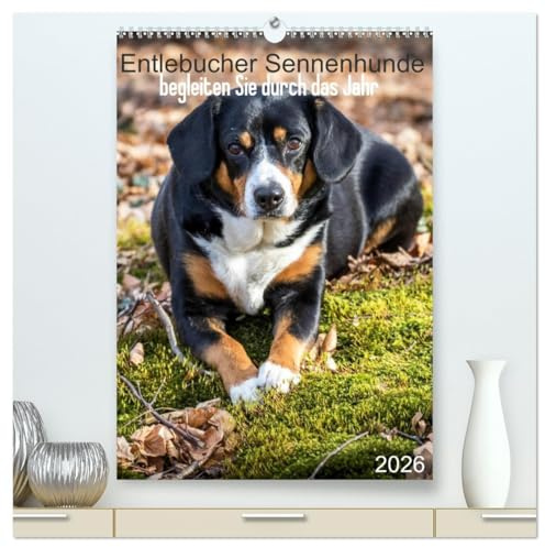 Entlebucher Sennenhunde begleiten Sie durch das Jahr (hochwertiger Premium Wandkalender 2026 DIN A2 hoch), Kunstdruck in Hochglanz: Die Entlebucher Sennenhunde Emma und Luna (CALVENDO Tiere)