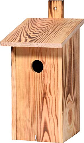 dobar® 13080e Nistkasten Flachdach Ø 32 mm - Nisthöhle für Wildvögel - Nistkasten Massivholz - Nisthilfe mit Schilfdach Vogelhaus für Höhlenbrüter - 15,5 x 19 x 33 cm - Geflammt