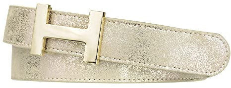 Zakatte • Damen Gürtel aus Kunstleder mit H-Schnalle Hüftgürtel Taillengürtel Damengürtel BS058 (Gold-Gold, 85 cm)