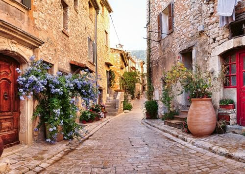 Ravensburger Puzzle 12000025 - Mediterranean Places France - 1000 Teile Puzzle für Erwachsene und Kinder ab 14 Jahren, Puzzle mit Motiv aus Frankreich