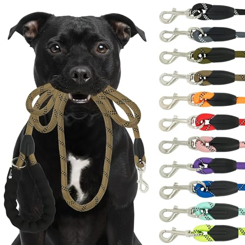 Reichstadt Pets Hundeleine - aus weichem Nylon mit Eva-Griff, reflektierend, drehbarer Metallhaken | robuste Führleine für kleine, mittelgroße und große Hunde 25RSP084 Brown 1,5m