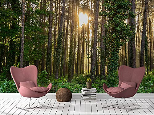 Oedim Fotomural Vinilo Bosque, Fotomural para Paredes, Vinilo Decorativo, Decoración comedores, Salones, Habitaciones.